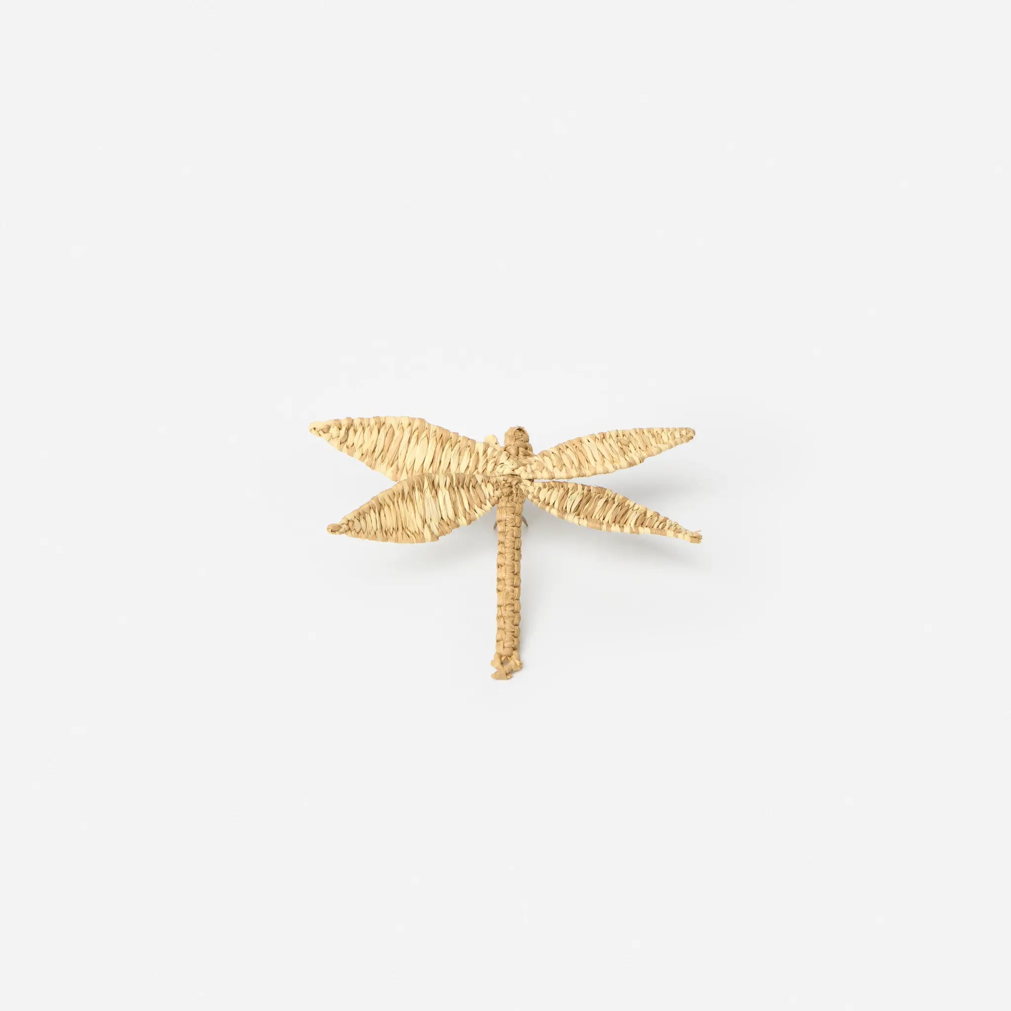 ANGI Pin Charm